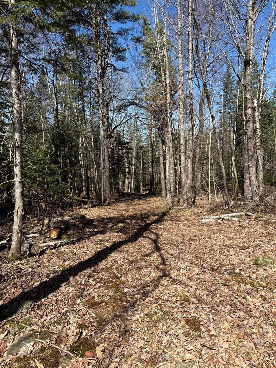 Lot 016-2 142 Old Fisher Rd Road, Holden, ME 04429
