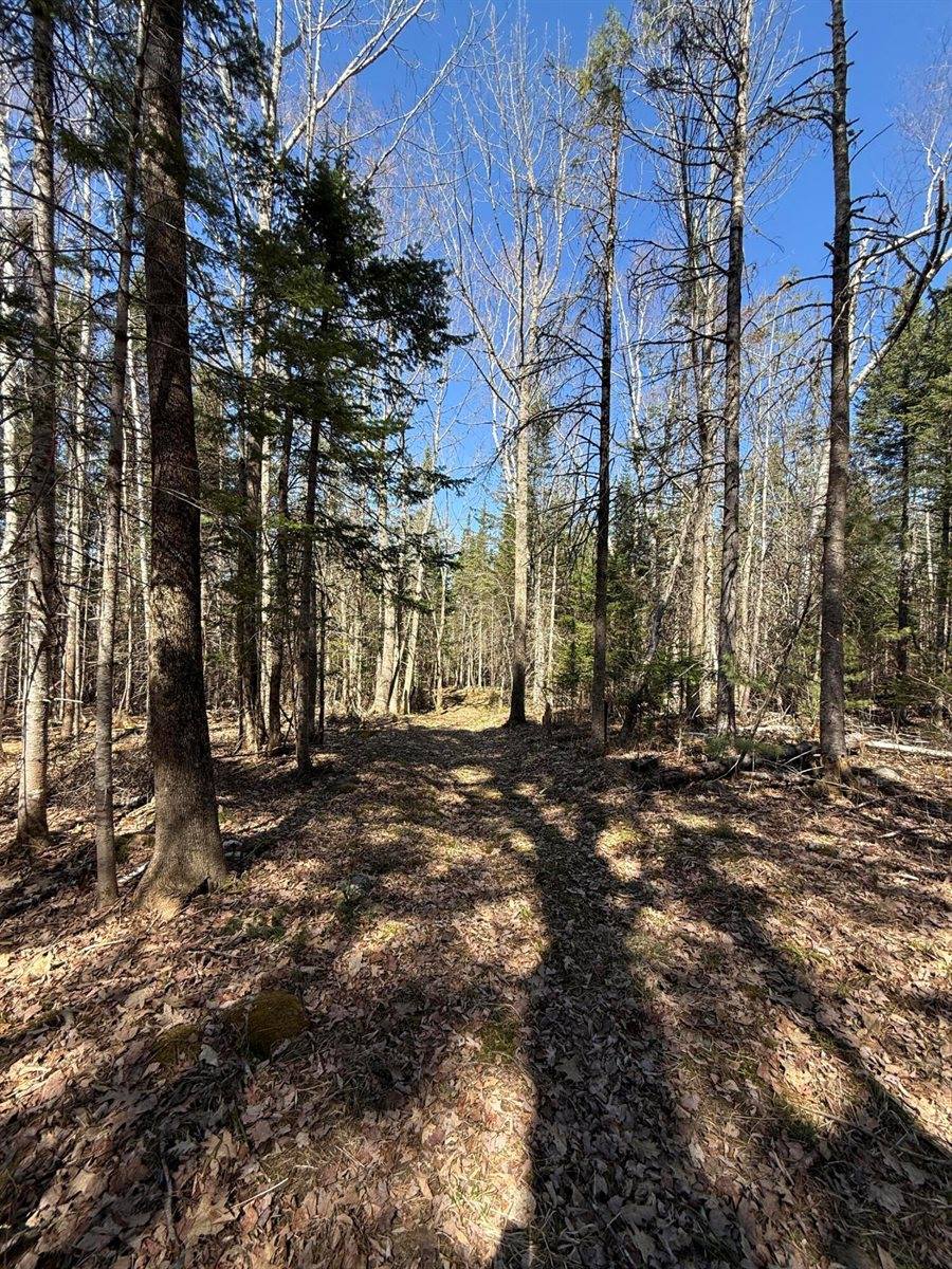 Lot 016-2 142 Old Fisher Rd Road, Holden, ME 04429