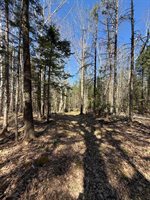 Lot 016-2 142 Old Fisher Rd Road, Holden, ME 04429