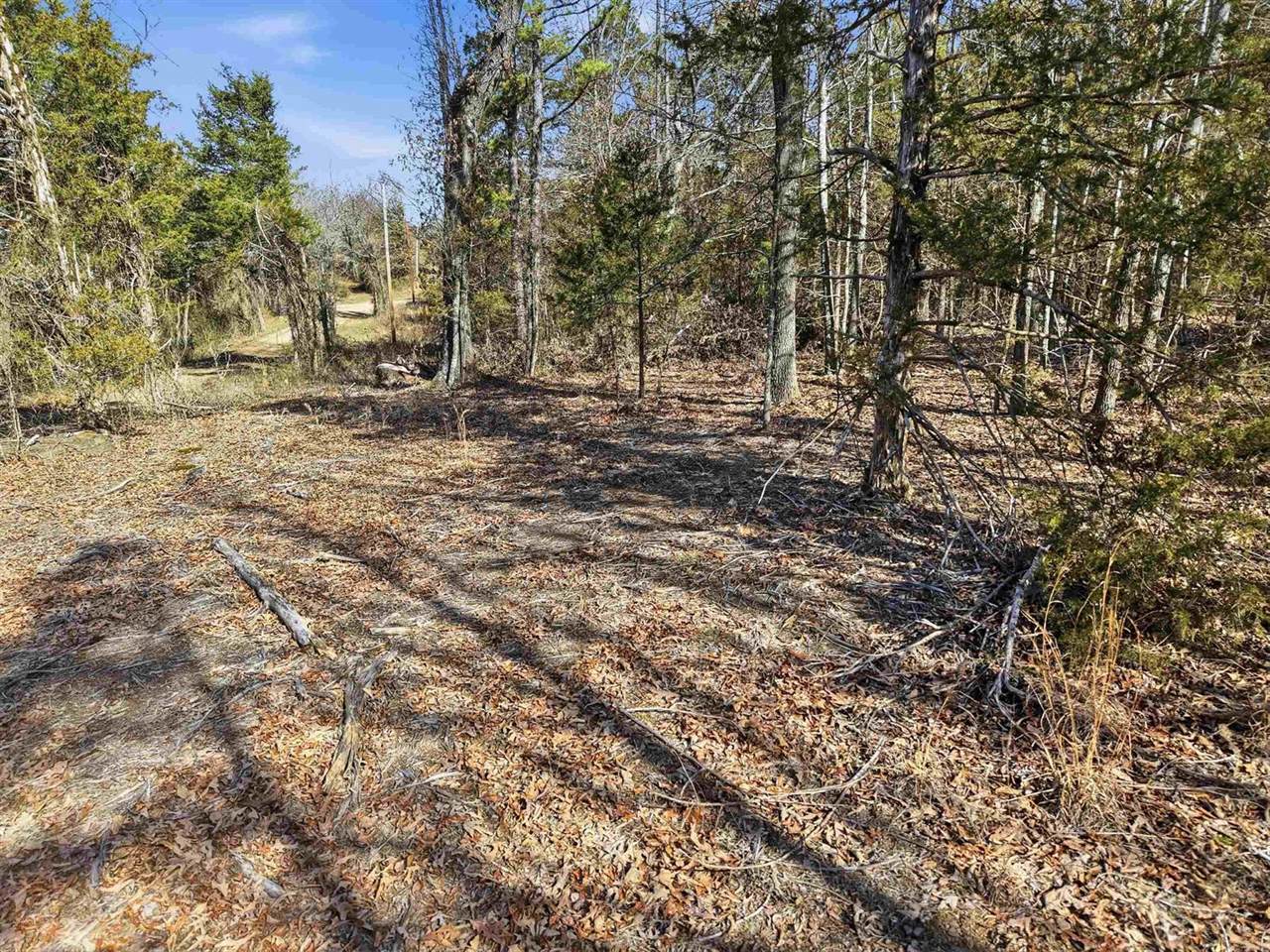 00 Roger Wooten, Springfield, AR 72157
