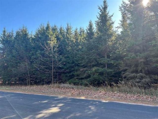 2.19 Acres RIVERVIEW DRIVE, Stevens Point, WI 54481