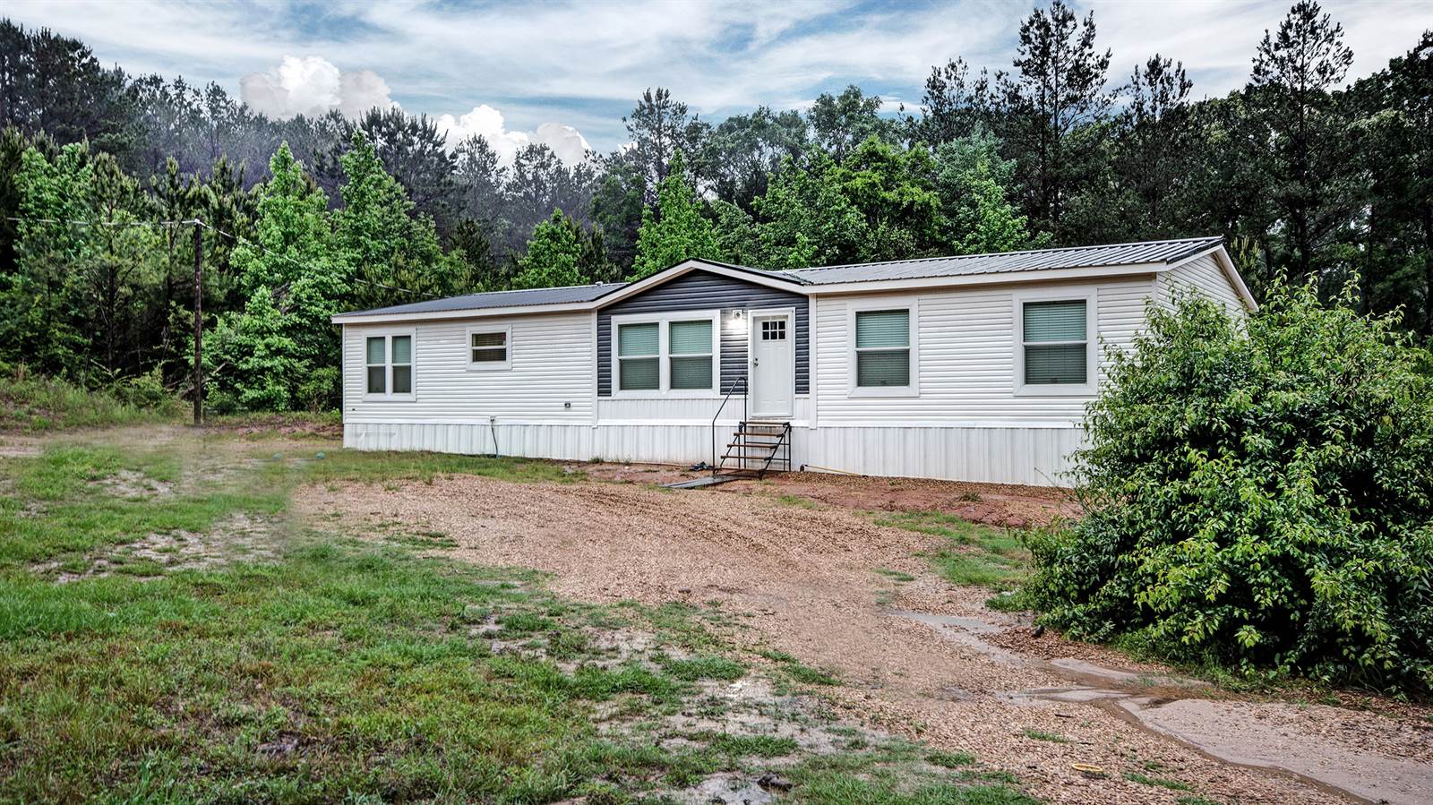 155 Dewitt Flynt Dr, Mendenhall, MS 39114