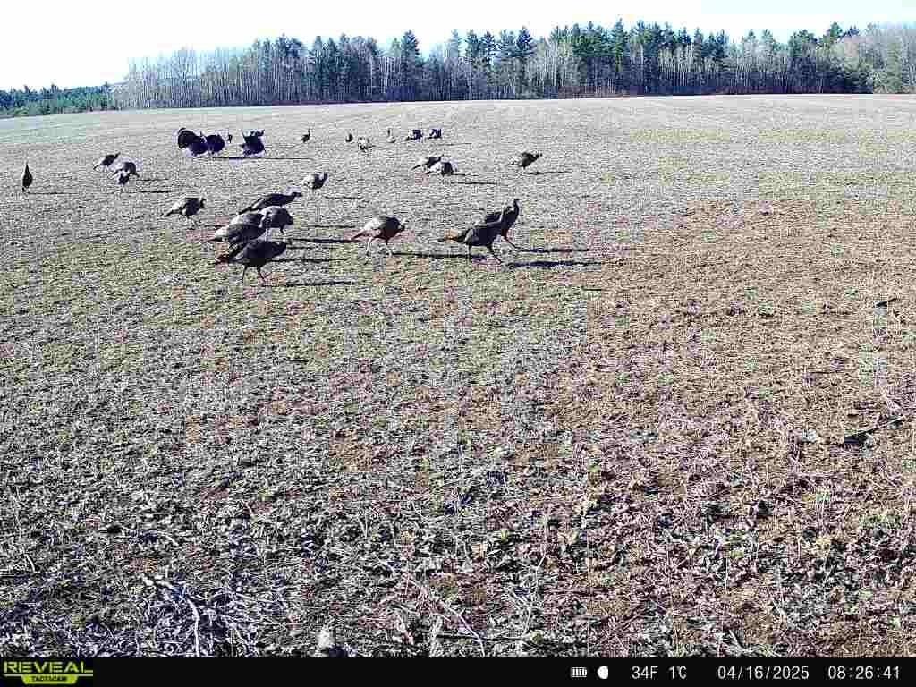 120 Acres MOL STETTIN DRIVE, Wausau, WI 54401