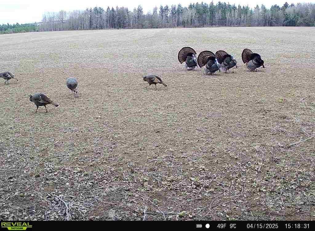 120 Acres MOL STETTIN DRIVE, Wausau, WI 54401