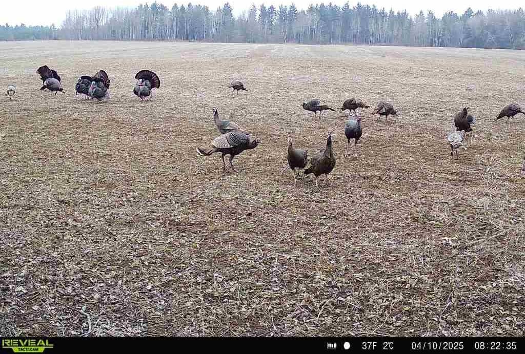 120 Acres MOL STETTIN DRIVE, Wausau, WI 54401