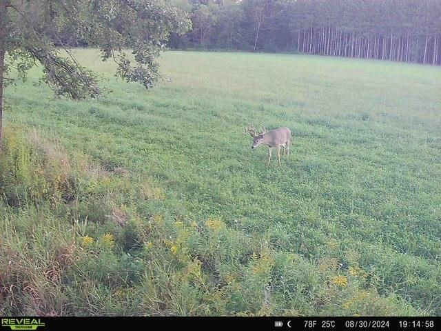120 Acres MOL STETTIN DRIVE, Wausau, WI 54401