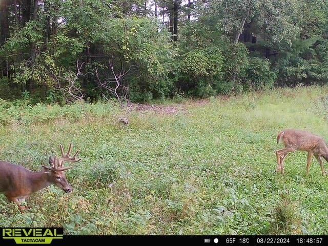 120 Acres MOL STETTIN DRIVE, Wausau, WI 54401