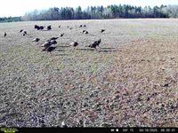 120 Acres MOL STETTIN DRIVE, Wausau, WI 54401
