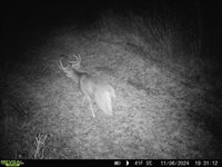 120 Acres MOL STETTIN DRIVE, Wausau, WI 54401