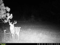 120 Acres MOL STETTIN DRIVE, Wausau, WI 54401