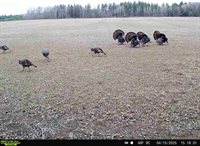 120 Acres MOL STETTIN DRIVE, Wausau, WI 54401