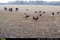 120 Acres MOL STETTIN DRIVE, Wausau, WI 54401