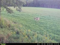 120 Acres MOL STETTIN DRIVE, Wausau, WI 54401