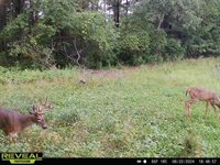 120 Acres MOL STETTIN DRIVE, Wausau, WI 54401