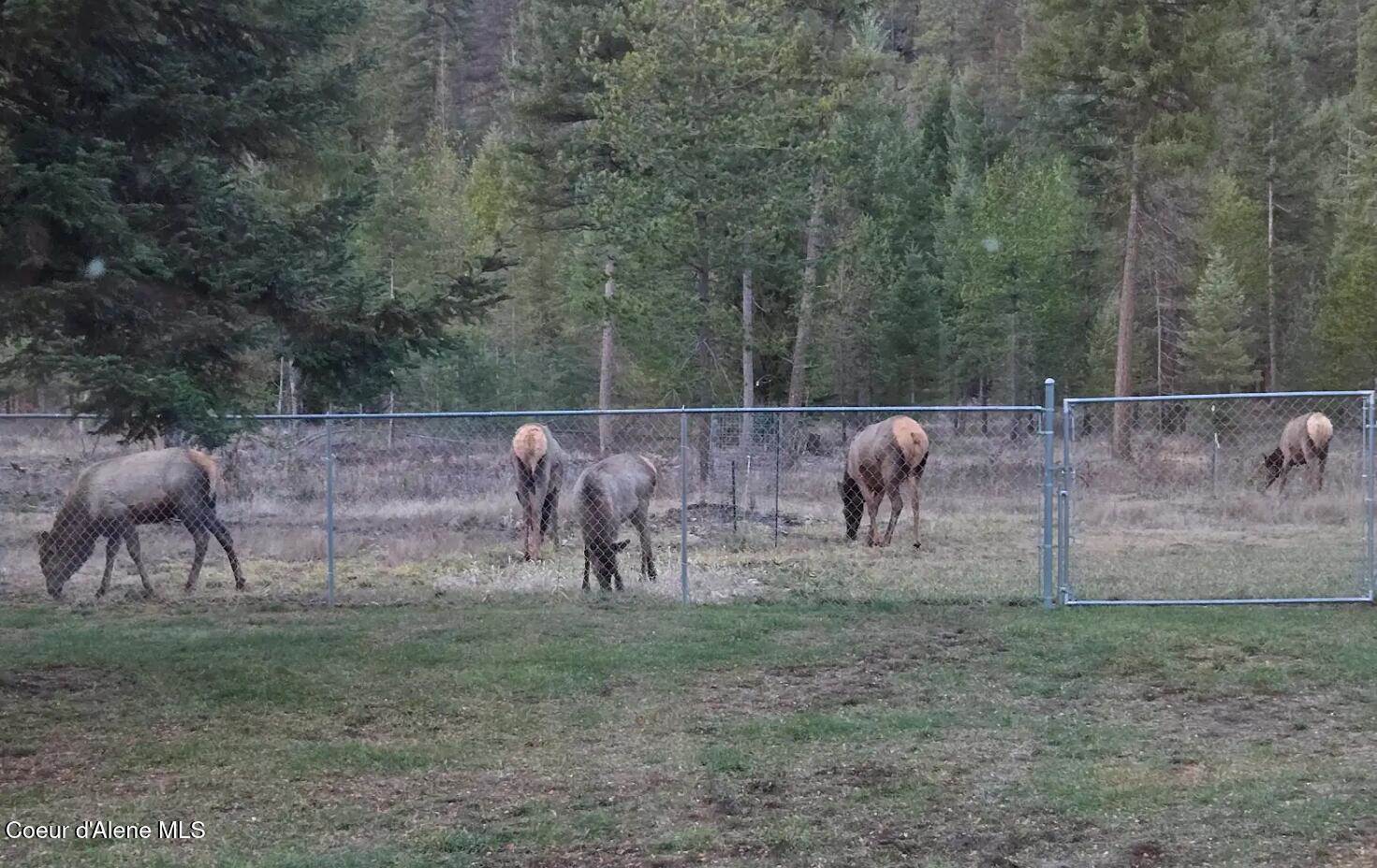 386 Ursa Ln, Priest River, ID 83856