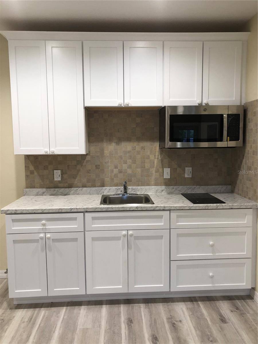 360 South Lakeview Drive, Lake Helen, FL 32744