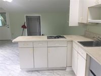 360 South Lakeview Drive, Lake Helen, FL 32744