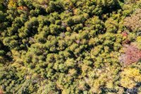 0 Rest Home Road, Claremont, NC 28610