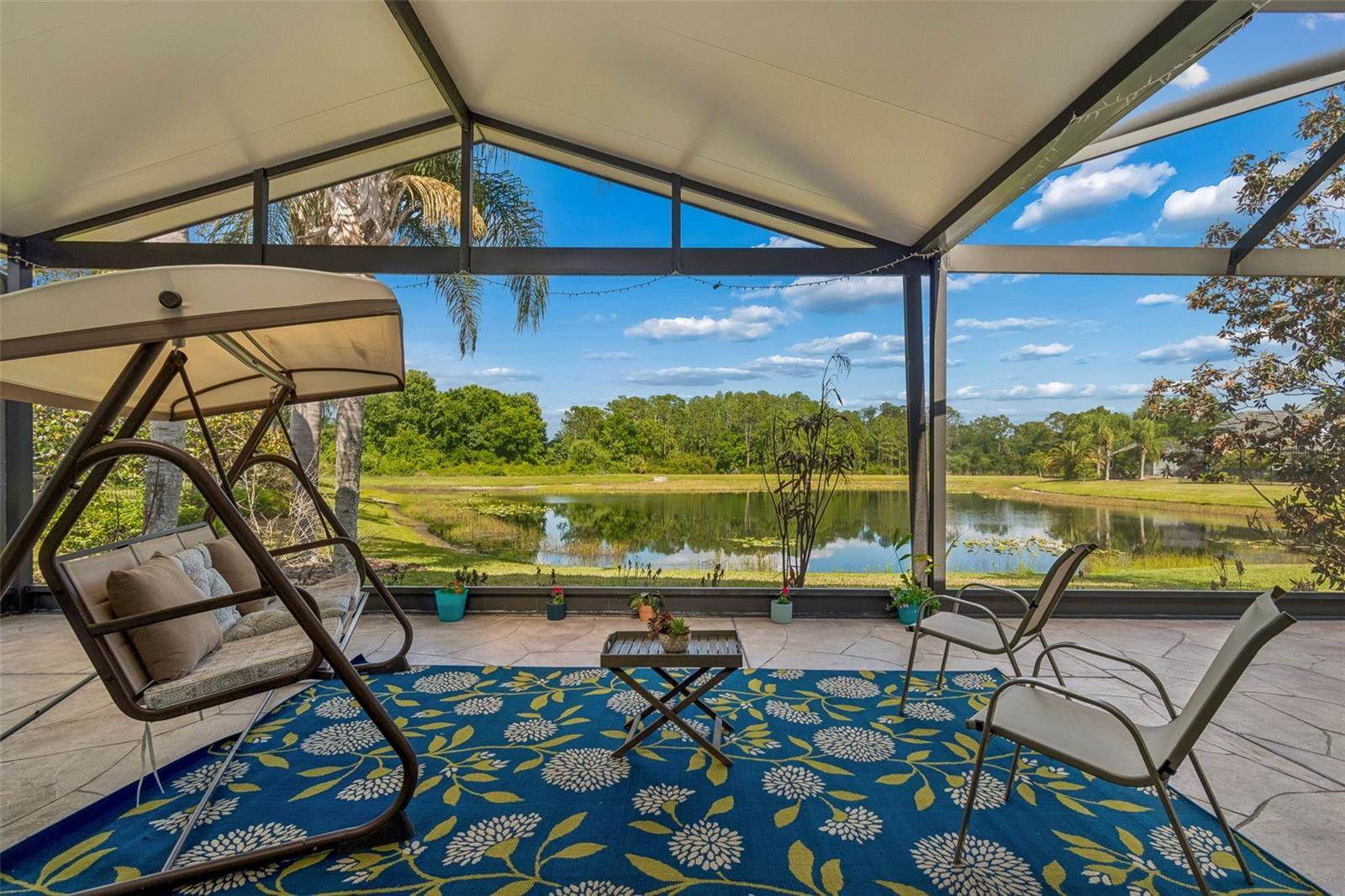 20133 Heron Crossing Drive, Tampa, FL 33647