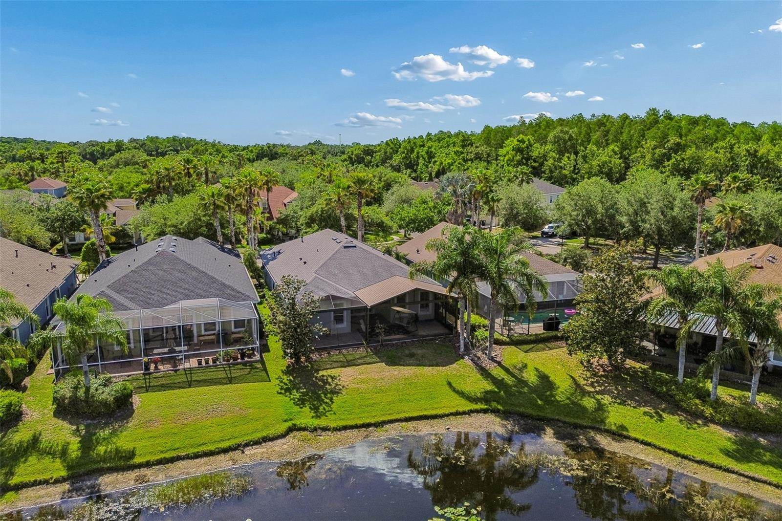 20133 Heron Crossing Drive, Tampa, FL 33647
