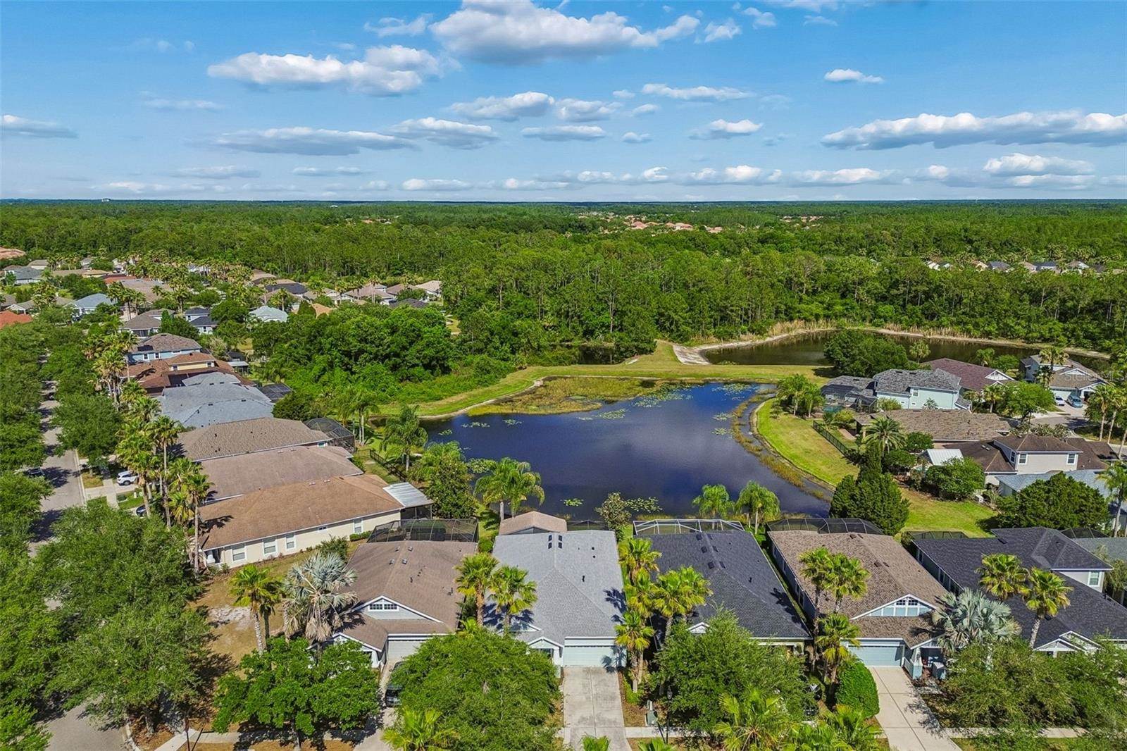 20133 Heron Crossing Drive, Tampa, FL 33647