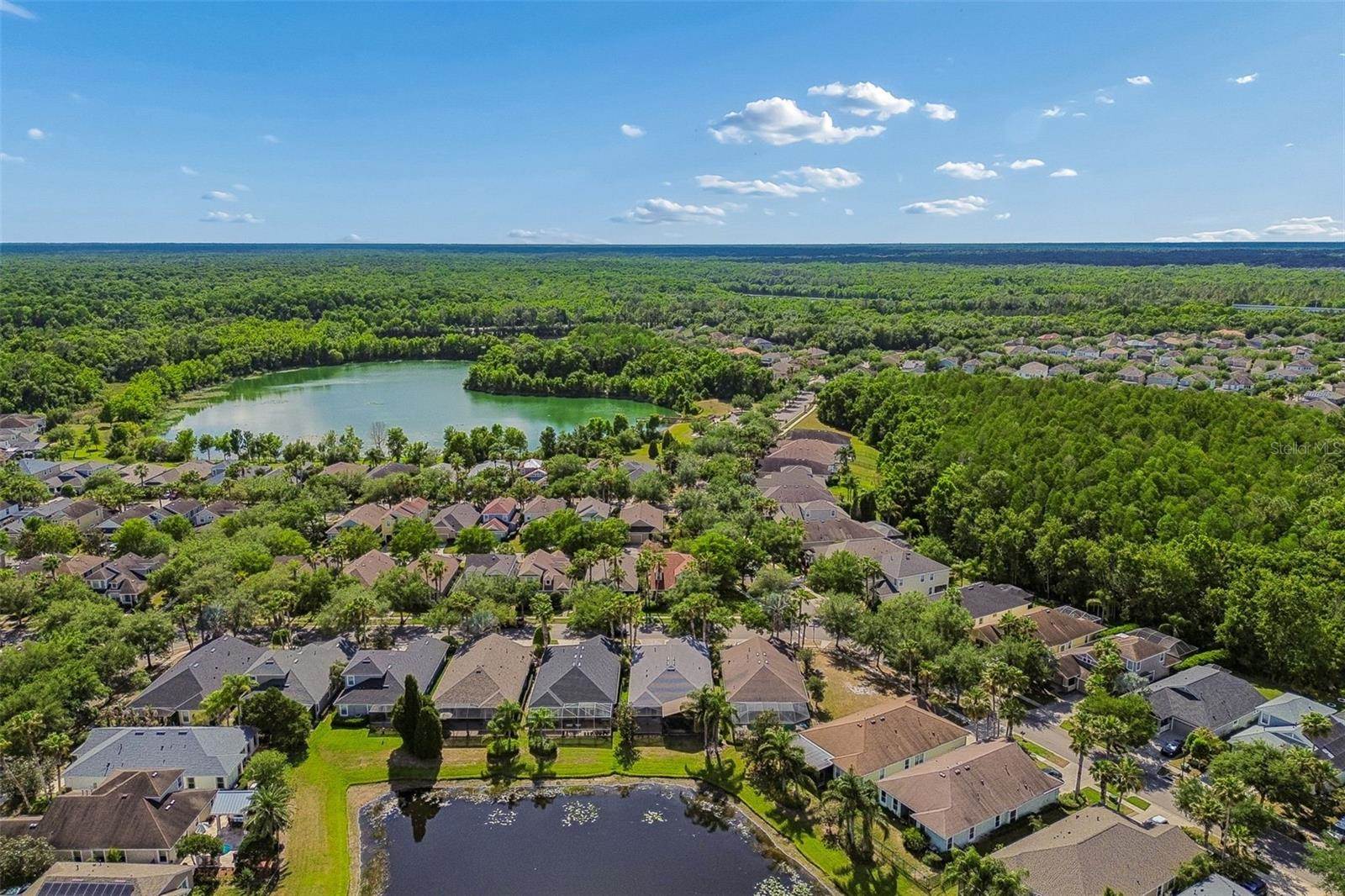 20133 Heron Crossing Drive, Tampa, FL 33647