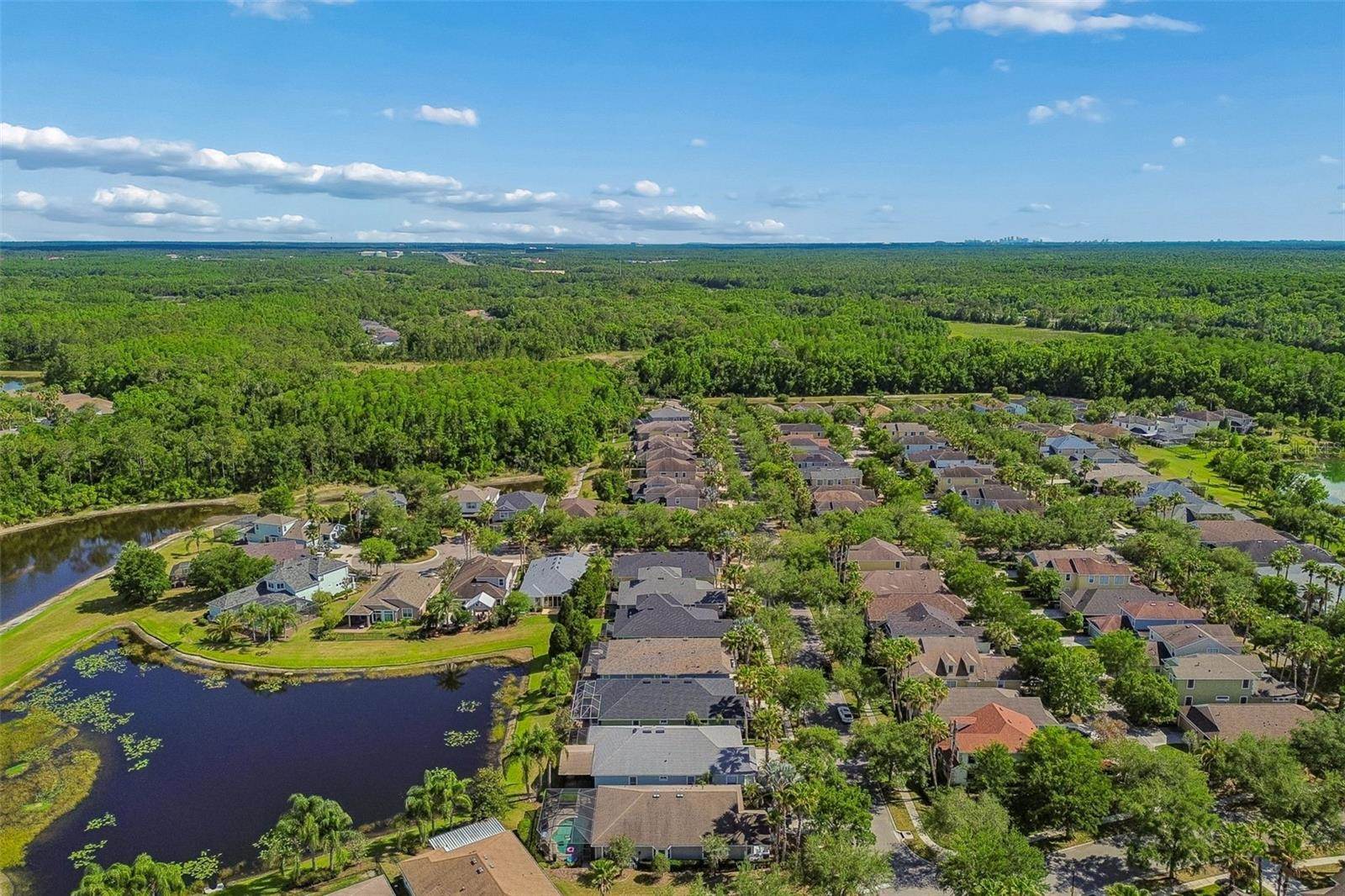 20133 Heron Crossing Drive, Tampa, FL 33647