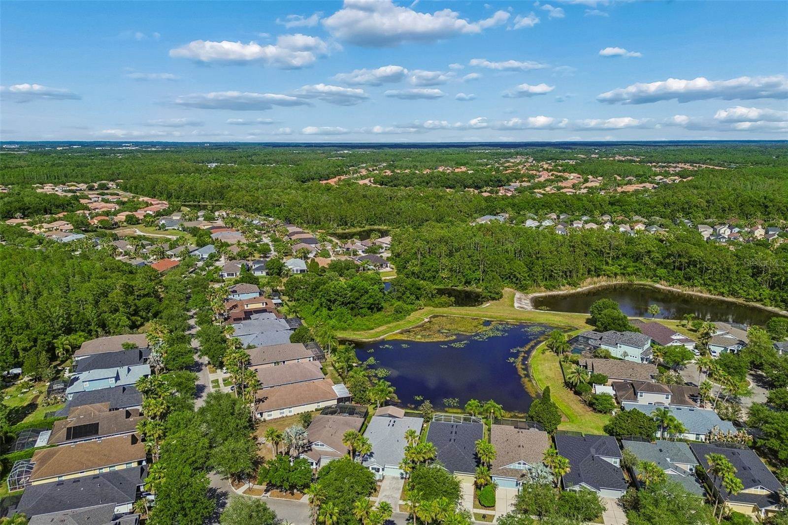 20133 Heron Crossing Drive, Tampa, FL 33647
