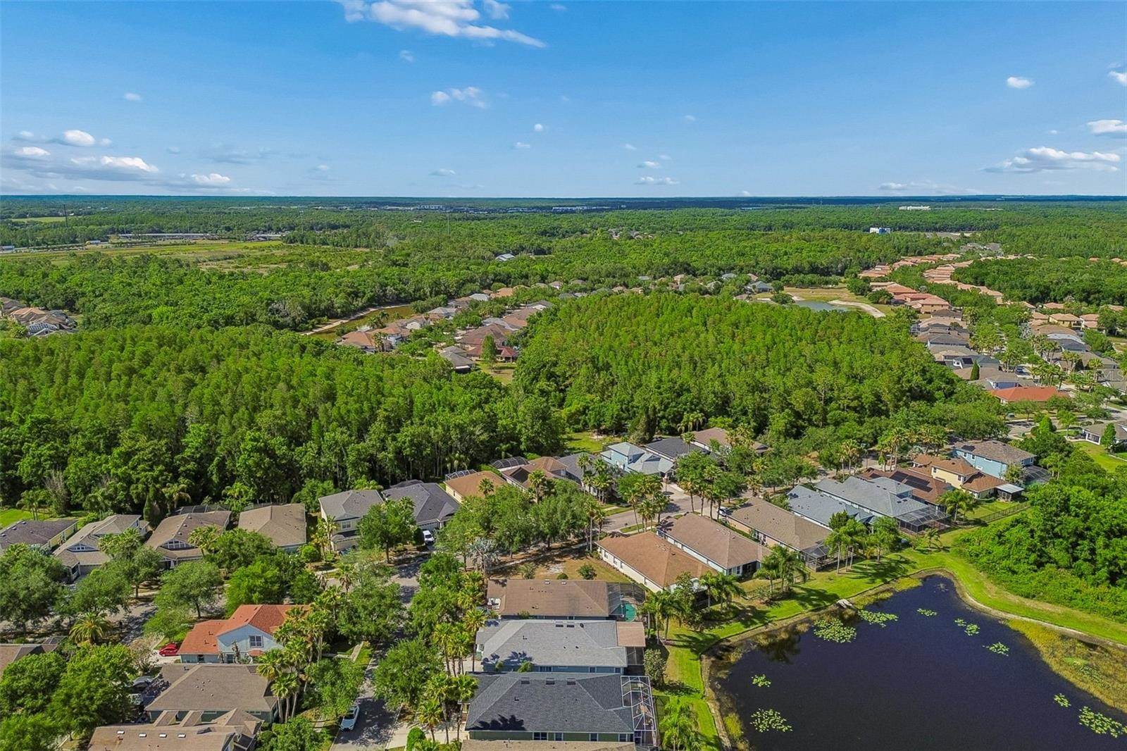 20133 Heron Crossing Drive, Tampa, FL 33647