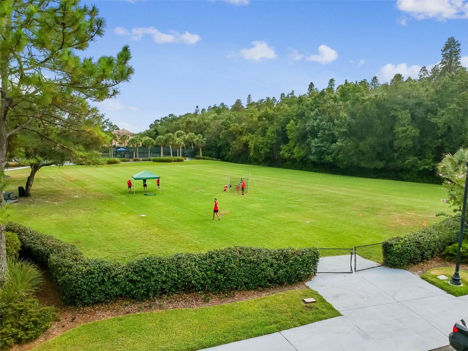 20133 Heron Crossing Drive, Tampa, FL 33647