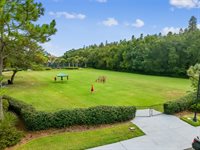 20133 Heron Crossing Drive, Tampa, FL 33647