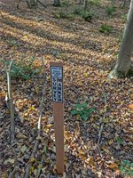 00 Pee Dee Road, Wethersfield, NY 14024