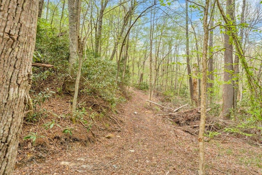 799 Milton Brown Heirs Road, Boone, NC 28607