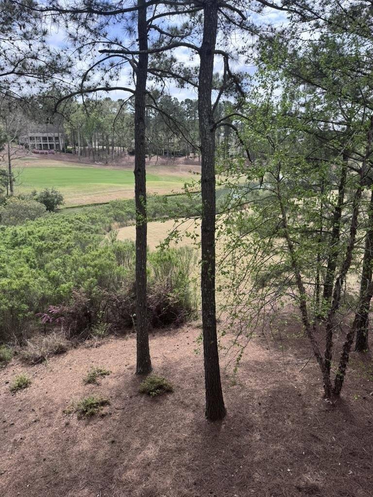 1021 Porch View, Greensboro, GA 30642