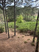 1021 Porch View, Greensboro, GA 30642