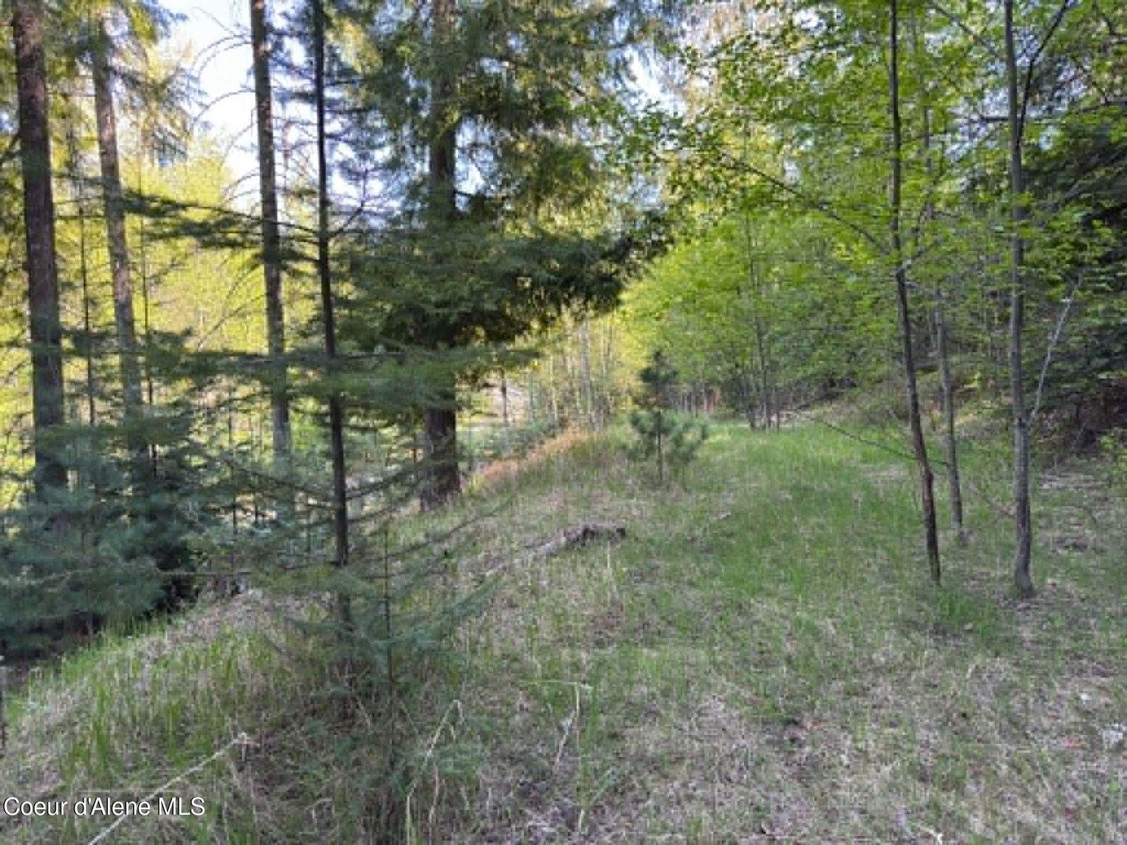 90 Shawnee Path, Sagle, ID 83860