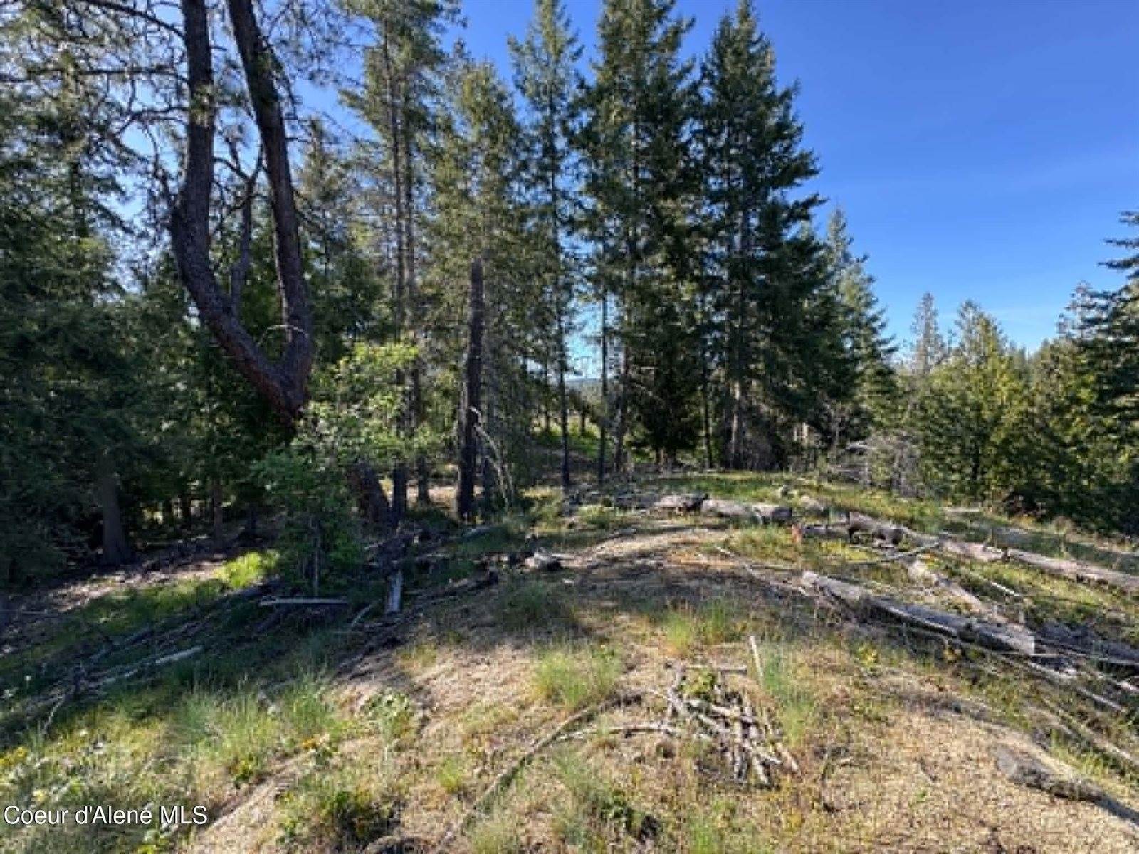 90 Shawnee Path, Sagle, ID 83860