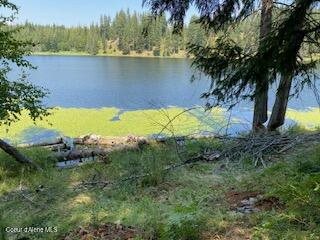 90 Shawnee Path, Sagle, ID 83860