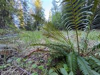 90 Shawnee Path, Sagle, ID 83860