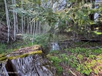 90 Shawnee Path, Sagle, ID 83860