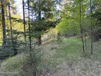 90 Shawnee Path, Sagle, ID 83860