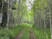 90 Shawnee Path, Sagle, ID 83860