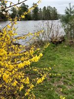 68 Lemay Road, Enfield, ME 04493