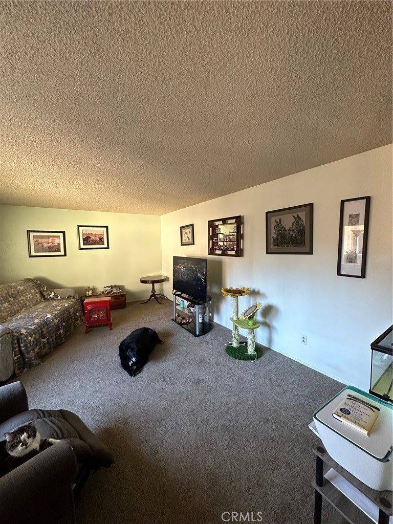 1008 Meier Drive, Chico, CA 95926