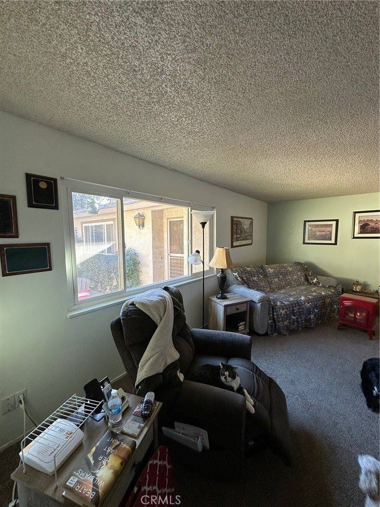 1008 Meier Drive, Chico, CA 95926