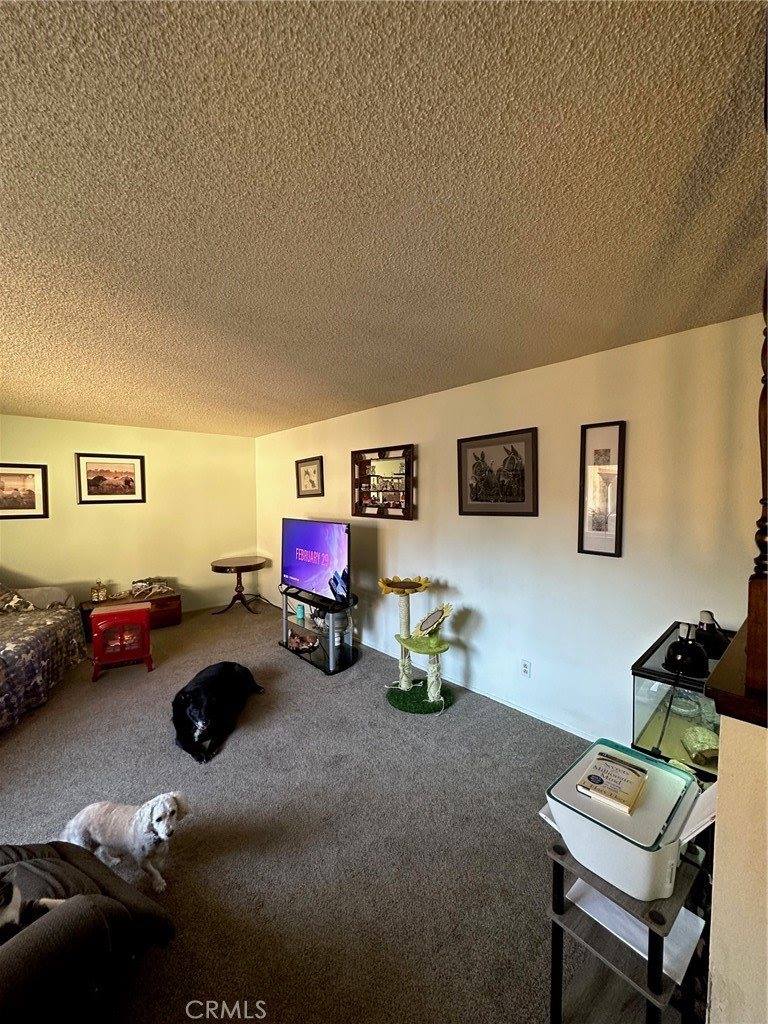 1008 Meier Drive, Chico, CA 95926