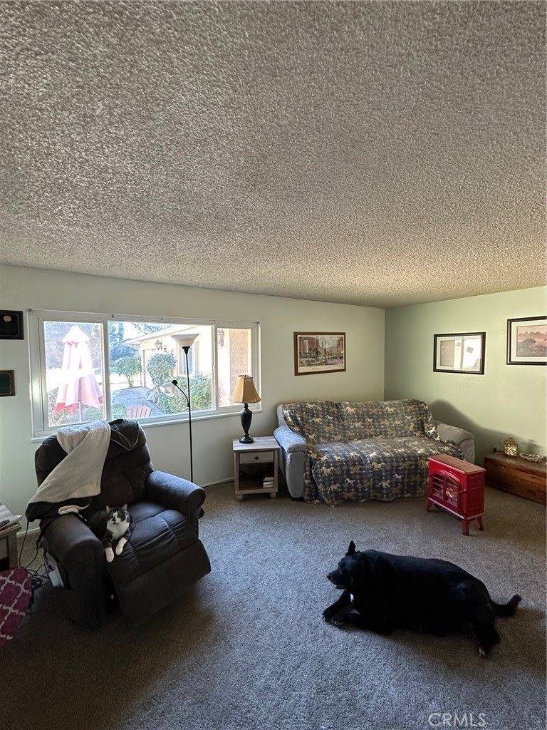 1008 Meier Drive, Chico, CA 95926