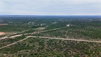 11501 Mule Deer Drive, Carlsbad, TX 76934