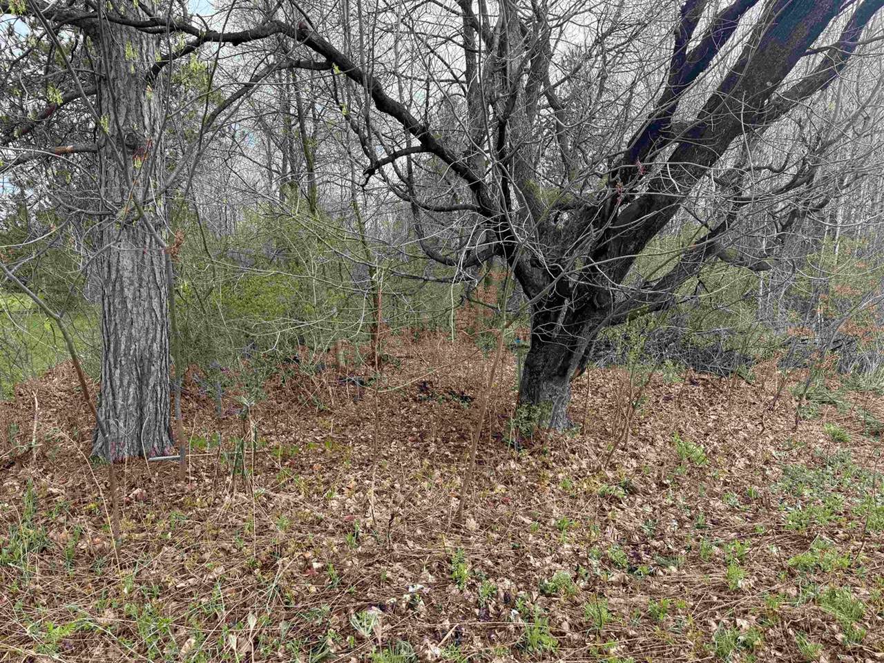 1 acre MOL MERRILL AVENUE, Wausau, WI 54401