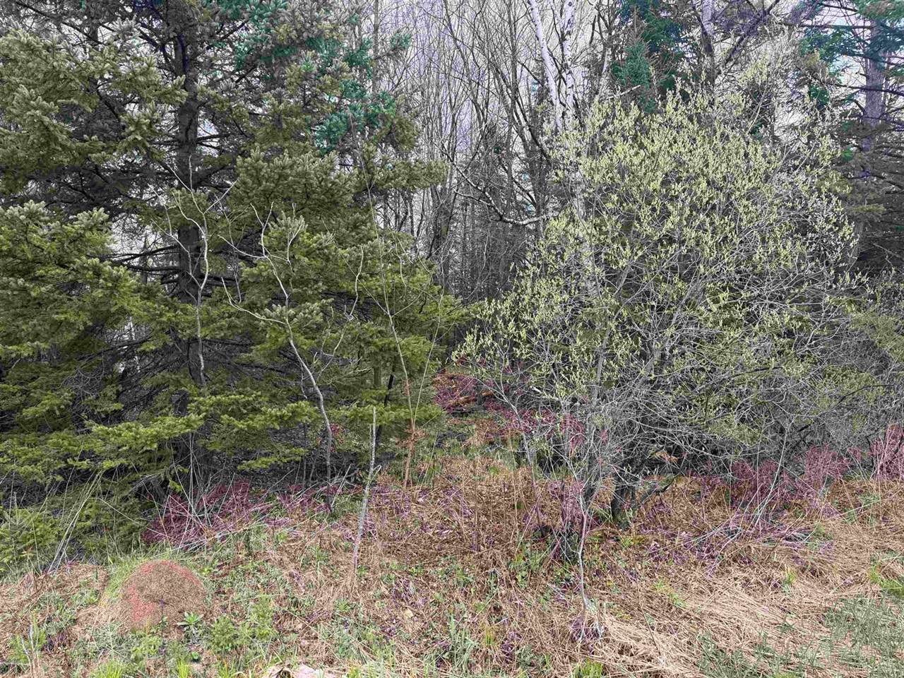 1 acre MOL MERRILL AVENUE, Wausau, WI 54401